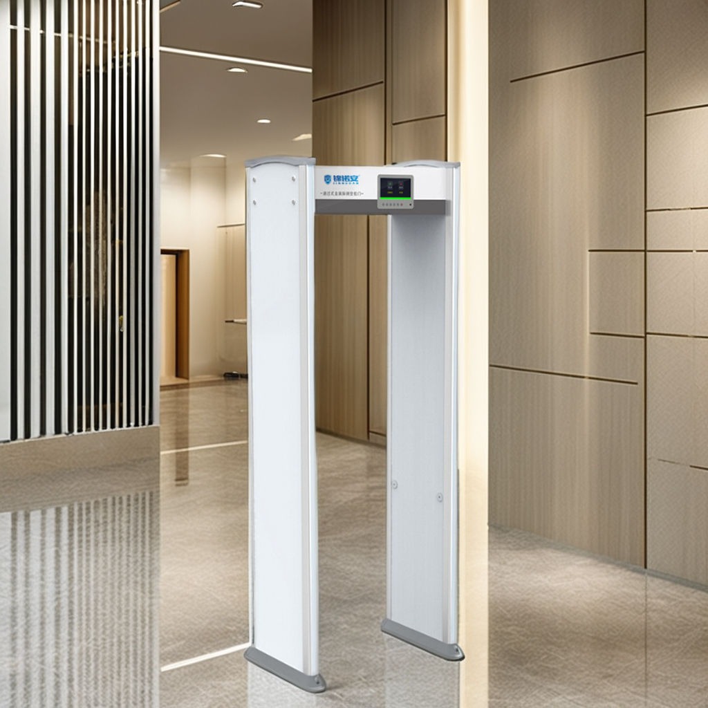 Metal Detector Gate